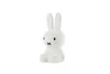 Mr Maria - Miffy / Hase First Light - Nachtlampe - dimmbar Produktbild-Vorschau 3