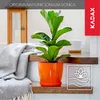 KADAX Doniczka z Podstawką Plastikowa Osłonka Donica 14cm Podgląd zdjęcia produktu 3
