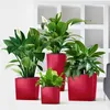A collection of potted plants in red planters arranged in a room. Produktbild-Vorschau