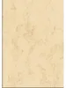 Predtlačený papier, obojstranný, A4, 200 g, SIGEL, béžový, mramorový Voir les images du produit