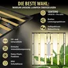 600W SAMSUNG PRO Grow LED LIGHT Licht Pflanzen Lampe Produktbild-Vorschau 3