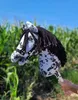 Hobby Horse Premium - Weiße und schwarze Pferd auf Stock Produktbild-Vorschau 4
