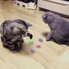 20 Stück Federspielzeug für Katzen, neuartiges Produktbild-Vorschau 2
