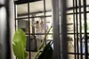KARCHER WV 3 Comfort Care window washer - 1.633-690.0 Anteprima dell’immagine prodotto 6