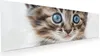 Glasbild 120x40cm in XXL für Wohnzimmer, Schlafzimmer Motiv Produktbild-Vorschau 1
