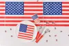 A table setting with American flag-themed decorations. Náhled obrázku produktu