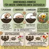 60 Stück Saatkugeln Sommerblumenmischung – Bienen- und Produktbild-Vorschau 5
