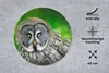 MuchoWow® Mauspad Mousepad Vogel - Eule - Tiere - Braun - Produktbild-Vorschau 2