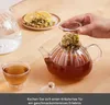 A hand is shown placing a glass infuser into a glass teapot filled with tea. A cup of tea and a plate with lemon slices and dried herbs are also visible. Produktbild-Vorschau