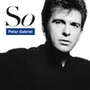 Gabriel,Peter-So (25th Anniversary Edt.) Produktbild-Vorschau 5