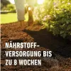COMPO SANA® Rhododendronerde - 50 Liter Produktbild-Vorschau 6