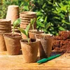 Romberg 96 Anzuchttöpfe Ø 6 cm biologisch Produktbild-Vorschau 3