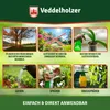 Veddelholzer 1000 ml Premium kaltgepresstes 100% Produktbild-Vorschau 5