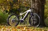 An electric mountain bike is leaning against a tree in an autumn setting with fallen leaves on the ground. Produktbild-Vorschau