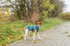 TRIXIE Regenmantel Vimy für Hunde - petrol - 340.0L x 5.0H Produktbild-Vorschau 4