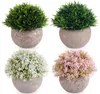 4 Stück Kunstpflanze Mini Künstliche Pflanzen wie echt, Produktbild-Vorschau 1
