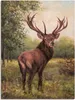 ARTland Leinwandbild Hirsch Größe: 90x120 cm Produktbild-Vorschau 1