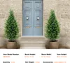 SucceBuy 91,4 cm sztuczne drzewo cedrowe Topiary 2 sztuki Podgląd zdjęcia produktu 7