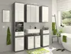 xonox.home Spiegelschrank Blake, 60x77x21 cm, Rauchsilber Produktbild-Vorschau 6