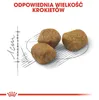 Royal Canin Regular Fit 32, Dorosły, Kukurydza, Drób, 400 g Podgląd zdjęcia produktu 9
