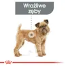 ROYAL CANIN Mini Dental Care Trockenfutter für Hunde Produktbild-Vorschau 3
