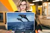 MuchoWow® Laptop Aufkleber Sticker Cover Delfin - Meer - Produktbild-Vorschau 5