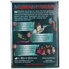 HeidelBÄR Games GmbH Animal Poker Produktbild-Vorschau 2
