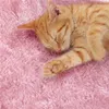 A close-up of a sleeping orange tabby kitten on a pink fluffy surface. Produktbild-Vorschau
