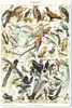 MuchoWow® Mauspad Mousepad Vogel - Tiere - Natur 18x27 cm - Produktbild-Vorschau 1