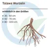 Talawa Wurzel L 35-50 cm Produktbild-Vorschau 3