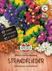 SPERLI Strandfliedersamen Colorita 50 Pflanzen Produktbild-Vorschau 1