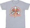 DC Comics - T-Shirt für Herren BI45304 (S) (Grau) Produktbild-Vorschau 1