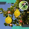 Kuketo | Fliegenkugel XL - Gelbe Zitrone - Auf Produktbild-Vorschau 3