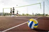 Netz und Ständer für Volleyball und Badminton, 570 cm Produktbild-Vorschau 7