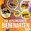 BEESI 400x Nisthülsen Stroh 20 cm I Ø 3-5 mm I Niströhren Produktbild-Vorschau 5