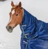 A horse wearing a blue Bucas blanket in a snowy environment. Produktbild-Vorschau