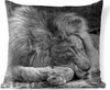 MuchoWow® Outdoor Kissen - Löwe - Afrika - Schwarz - 60x60 Produktbild-Vorschau 1