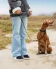 A person and a dog on a sandy path, likely outdoors. Voir les images du produit