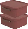 Rotho 2er-Set Aufbewahrungsbox 20 L Maloja - Kunststoffbox Produktbild-Vorschau 1