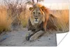 MuchoWow® Poster Löwe - Morgen - Afrika 120x80 cm - Bilder Produktbild-Vorschau 1