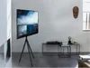 A modern living room with a TV on a tripod stand. Anteprima dell’immagine prodotto