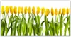 Tulup Leinwand-Bilder 120x60 Wandbild Canvas Kunstdruck Produktbild-Vorschau 1