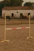 Hobby Horse Hurdle 120 cm rose pour enfants et chiens, Voir les images du produit 8