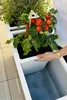 Accessori per vasi da fiori - INSERTO per irrigazione in Anteprima dell’immagine prodotto 7
