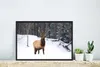MuchoWow® MuchoWow® Gerahmtes Poster Rotwild - Schnee - Produktbild-Vorschau 5
