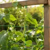 KADAX Ranknetz für Kletterpflanzen, 2 x 10 m, Pflanzennetz Produktbild-Vorschau 2