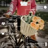 Creative Home Proutěný košík na kolo univerzální | 36 x 29 Náhled obrázku produktu 4