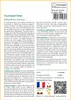 SAFLAX  - Tournesol Titan - 20 graines - Helianthus Voir les images du produit 3