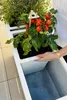 VIVANNO Pflanzkübel-Zubehör Kunststoff EINSATZ Bewässerung Produktbild-Vorschau 6