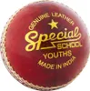 Čtenáři - kožený kriketový míč "Special School" pro děti Náhled obrázku produktu 1